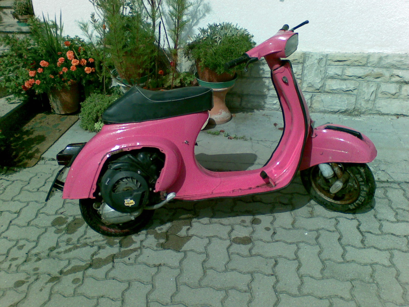 Chicco50s